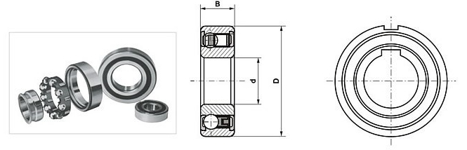 1500602810714056.jpg 1.jpg